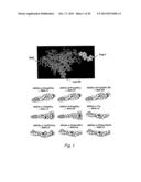 Analogs of ShK Toxin and Their Uses in Selective Inhibition of Kv1.3     Potassium Channels diagram and image