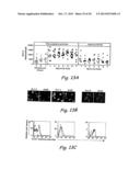 Analogs of ShK Toxin and Their Uses in Selective Inhibition of Kv1.3     Potassium Channels diagram and image