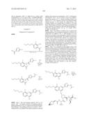 ANTIVIRAL COMPOUNDS diagram and image