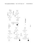 DIMEDON DERIVATIVE AND A METHOD FOR THE PURIFICATION OF PNA AND PEPTIDE     OLIGOMERS diagram and image