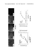 Artificial Tissue Systems and Uses Thereof diagram and image