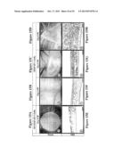 Artificial Tissue Systems and Uses Thereof diagram and image