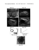 Artificial Tissue Systems and Uses Thereof diagram and image