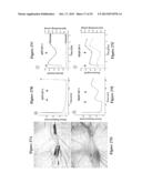 Artificial Tissue Systems and Uses Thereof diagram and image