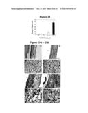 Artificial Tissue Systems and Uses Thereof diagram and image