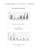 Method for the treatment of skin tissues. diagram and image