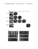 Method of Storing Metal Lanthanum Target, Vacuum-sealed Metal Lanthanum     Target, and Thin Film Formed by Sputtering the Metal Lanthanum Target diagram and image