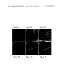 METHODS OF OBTAINING CELL POPULATIONS ENRICHED WITH DESIRED CELLS diagram and image