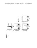 Interleukin 15 as Selectable Marker for Gene Transfer in Lymphocytes diagram and image