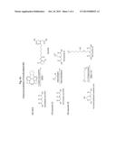 FUNCTIONALIZED TISSUE MATRICES diagram and image