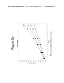 Stabilized Angiopoietin-2 Antibodies And Uses Thereof diagram and image