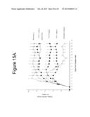 Stabilized Angiopoietin-2 Antibodies And Uses Thereof diagram and image