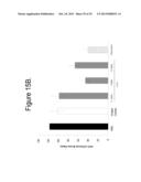 Stabilized Angiopoietin-2 Antibodies And Uses Thereof diagram and image