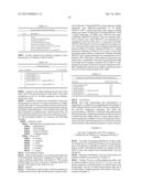 Stabilized Angiopoietin-2 Antibodies And Uses Thereof diagram and image