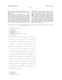 Stabilized Angiopoietin-2 Antibodies And Uses Thereof diagram and image