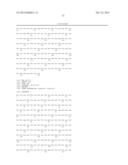 Stabilized Angiopoietin-2 Antibodies And Uses Thereof diagram and image