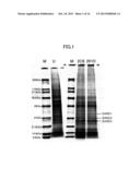 OSTEOCLASTOGENESIS INHIBITOR CONTAINING ANTI-VDAC ANTIBODY diagram and image