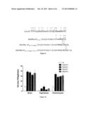 SHORT AND D-AMINO ACID-CONTAINING POLYPEPTIDES FOR THERAPEUTIC CONJUGATES     AND USES THEREOF diagram and image