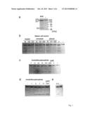 MEDICAMENT FOR LCT POISONING diagram and image