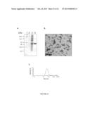 Immunogenic Affinity-Conjugated Antigen Systems Based on Papaya Mosaic     Virus and Uses Thereof diagram and image