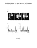 Immunogenic Affinity-Conjugated Antigen Systems Based on Papaya Mosaic     Virus and Uses Thereof diagram and image