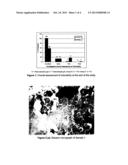PHARMACEUTICAL COMPOSITIONS OF ANTI-ACNE AGENTS diagram and image