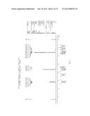 MICROSPHERE DRUG CARRIER, PREPARATION METHOD, COMPOSITION AND USE THEREOF diagram and image