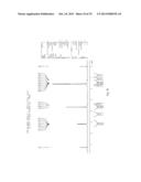 MICROSPHERE DRUG CARRIER, PREPARATION METHOD, COMPOSITION AND USE THEREOF diagram and image