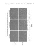 Methods, Compounds and Compositions for Treatment of Influenza and     Parainfluenza Patients diagram and image