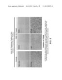 Methods, Compounds and Compositions for Treatment of Influenza and     Parainfluenza Patients diagram and image