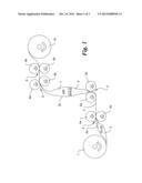 SHIRRABLE SPICED CASING WITH INNER COATING diagram and image