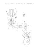 SHIRRABLE SPICED CASING WITH INNER COATING diagram and image