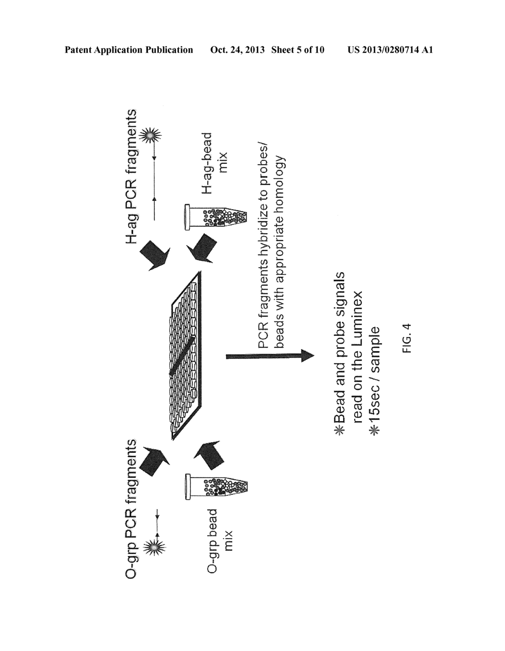 RAPID SALMONELLA SEROTYPING ASSAY - diagram, schematic, and image 06