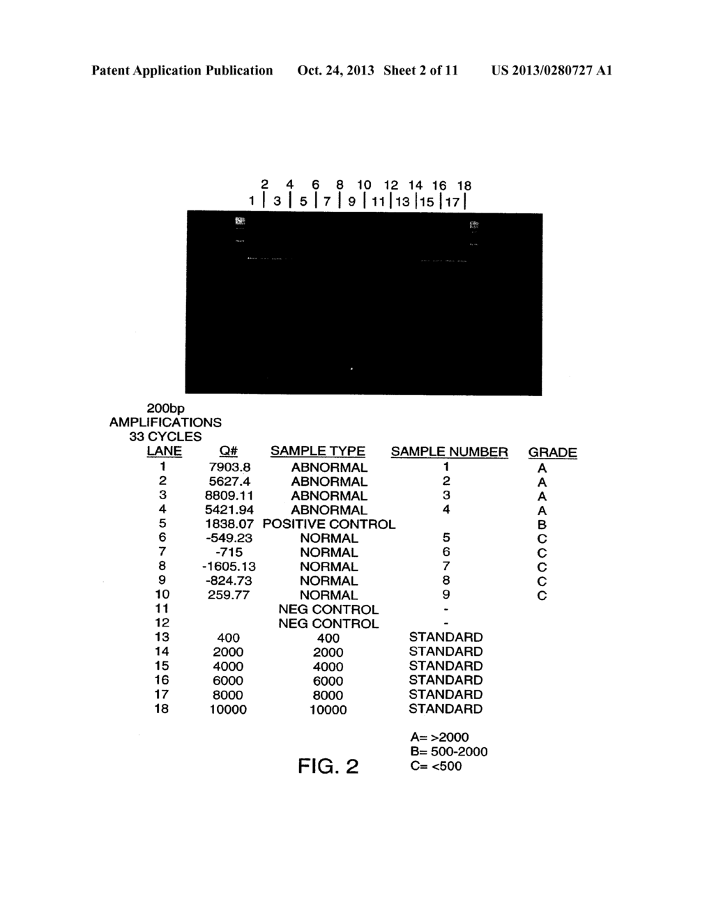 METHODS FOR DETECTING NUCLEIC ACIDS INDICATIVE OF CANCER - diagram, schematic, and image 03