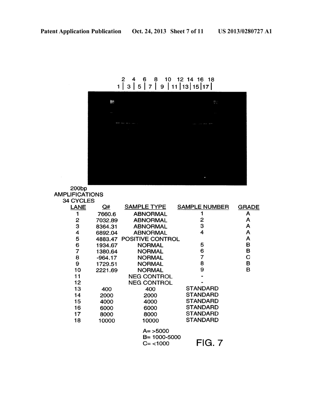 METHODS FOR DETECTING NUCLEIC ACIDS INDICATIVE OF CANCER - diagram, schematic, and image 08