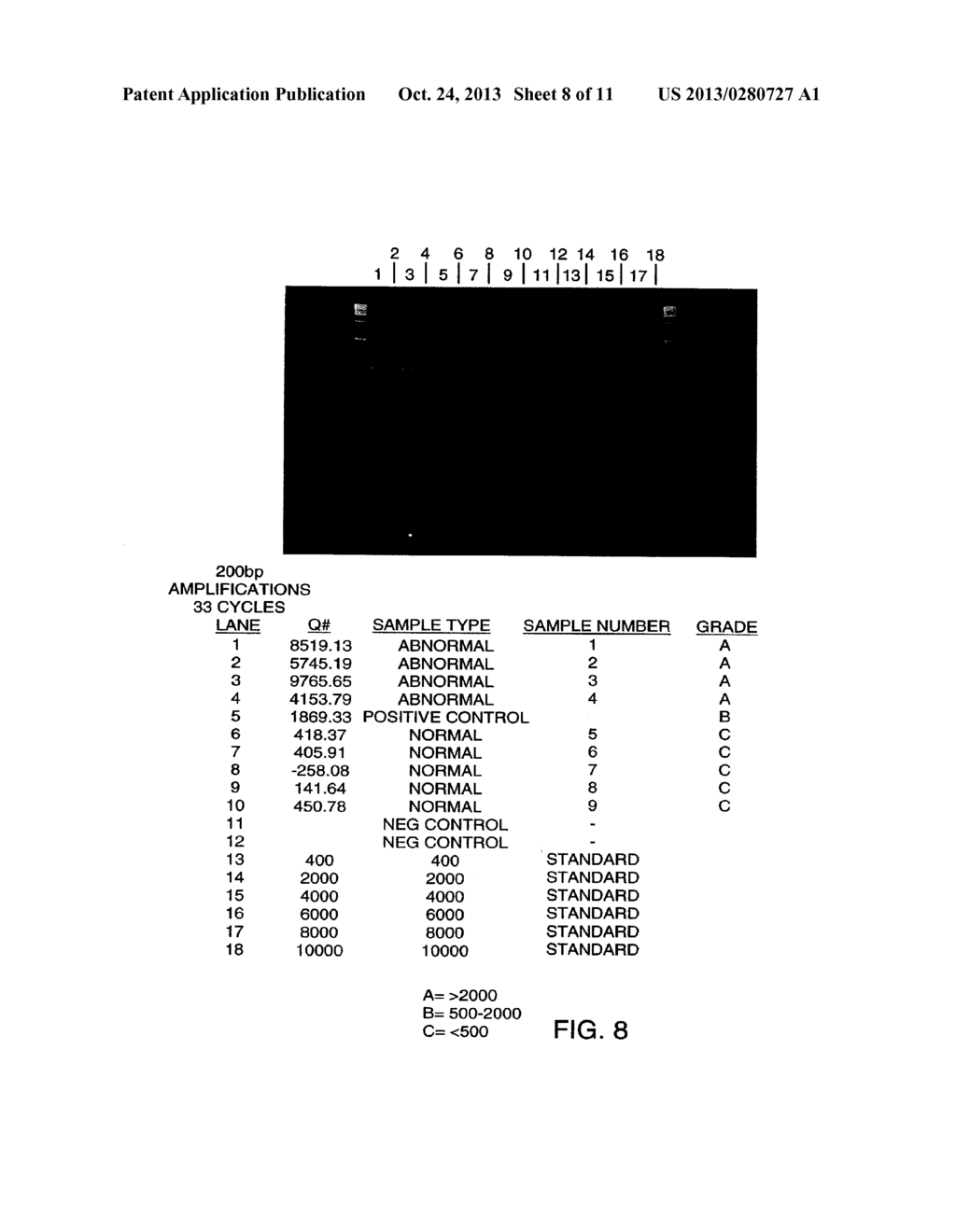 METHODS FOR DETECTING NUCLEIC ACIDS INDICATIVE OF CANCER - diagram, schematic, and image 09