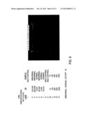 METHODS FOR DETECTING NUCLEIC ACIDS INDICATIVE OF CANCER diagram and image