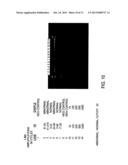 METHODS FOR DETECTING NUCLEIC ACIDS INDICATIVE OF CANCER diagram and image