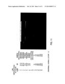 METHODS FOR DETECTING NUCLEIC ACIDS INDICATIVE OF CANCER diagram and image