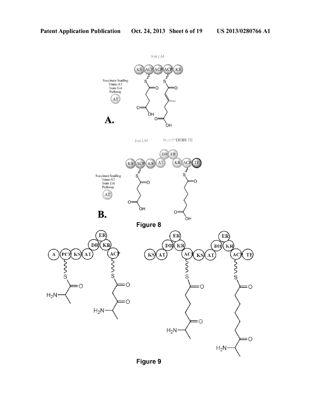 HYBRID POLYKETIDE SYNTHASES - diagram, schematic, and image 07