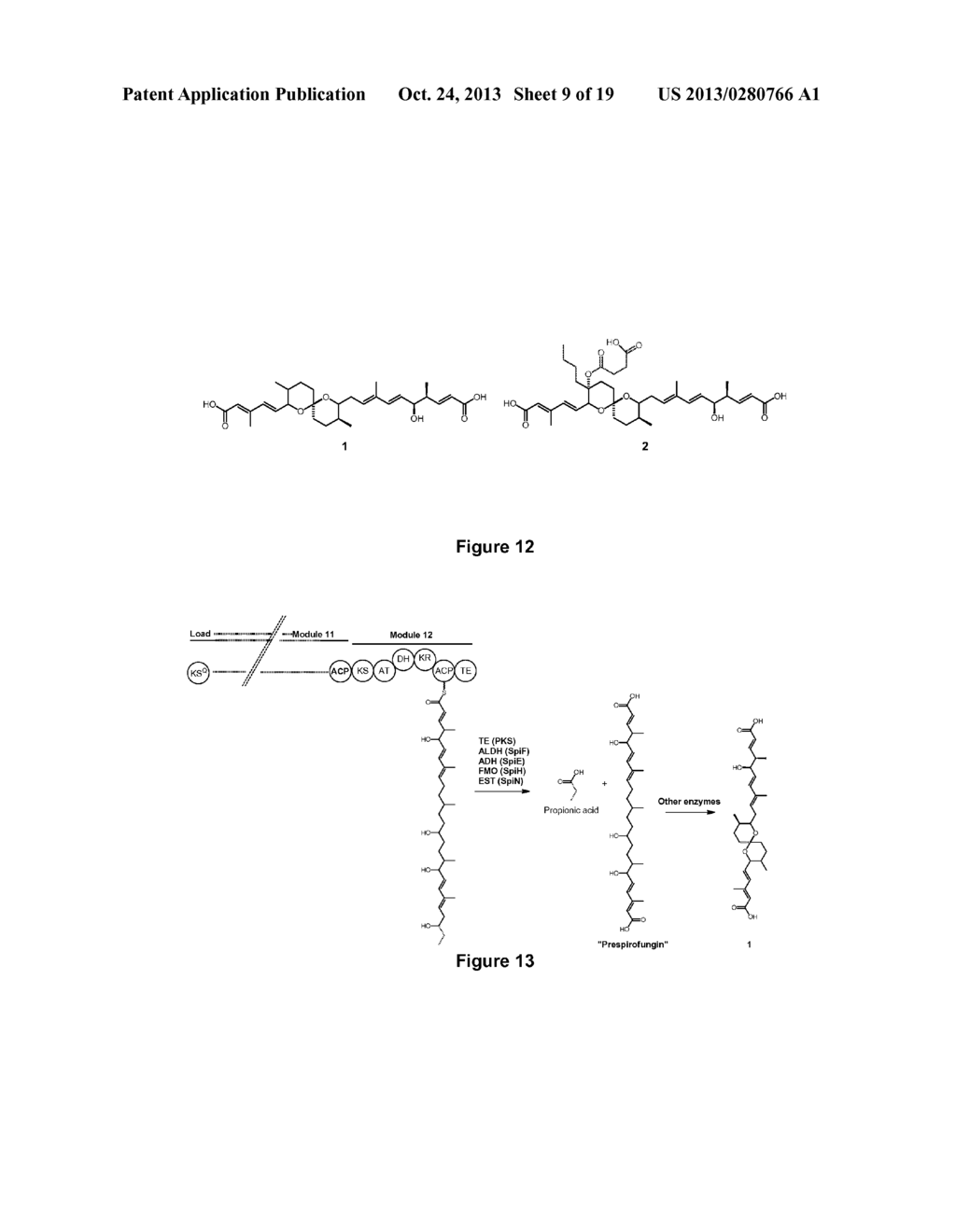 HYBRID POLYKETIDE SYNTHASES - diagram, schematic, and image 10