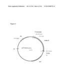 REDUCTION OF CARBON DIOXIDE EMISSION DURING ISOPRENE PRODUCTION BY     FERMENTATION diagram and image