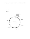 REDUCTION OF CARBON DIOXIDE EMISSION DURING ISOPRENE PRODUCTION BY     FERMENTATION diagram and image