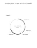 REDUCTION OF CARBON DIOXIDE EMISSION DURING ISOPRENE PRODUCTION BY     FERMENTATION diagram and image