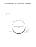 REDUCTION OF CARBON DIOXIDE EMISSION DURING ISOPRENE PRODUCTION BY     FERMENTATION diagram and image