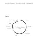 REDUCTION OF CARBON DIOXIDE EMISSION DURING ISOPRENE PRODUCTION BY     FERMENTATION diagram and image