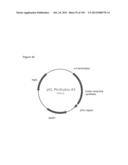 REDUCTION OF CARBON DIOXIDE EMISSION DURING ISOPRENE PRODUCTION BY     FERMENTATION diagram and image