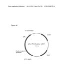 REDUCTION OF CARBON DIOXIDE EMISSION DURING ISOPRENE PRODUCTION BY     FERMENTATION diagram and image