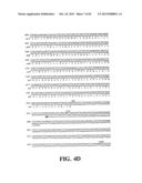 PLASMIDS AND PHAGES FOR HOMOLOGOUS RECOMBINATION AND METHODS OF USE diagram and image