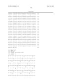 PLASMIDS AND PHAGES FOR HOMOLOGOUS RECOMBINATION AND METHODS OF USE diagram and image